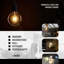 E27 LED Light Bulbs 8W G125 Edison Screw Bulb 800lm Decorative Vintage Filament Lighting Clear Globe Glass CRI 90+ Warm White 2700K Dimmable (2, B22)