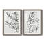 Sprig Contour I - ensemble de 2 reproductions d'art sur papier encadré-285995235-285995242