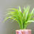 35cm Faux Plant in Ceramic Pot