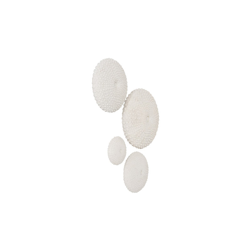Sea Urchin Wall Art, Set Of 4