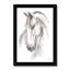 Equine Study II by Ethan Harper - Print-1984176539-1984176538