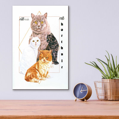 «British Shorthair» par Barbara Keith - impression sans cadre