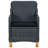 Patio Chairs with Cushions Poly Rattan-1035551842