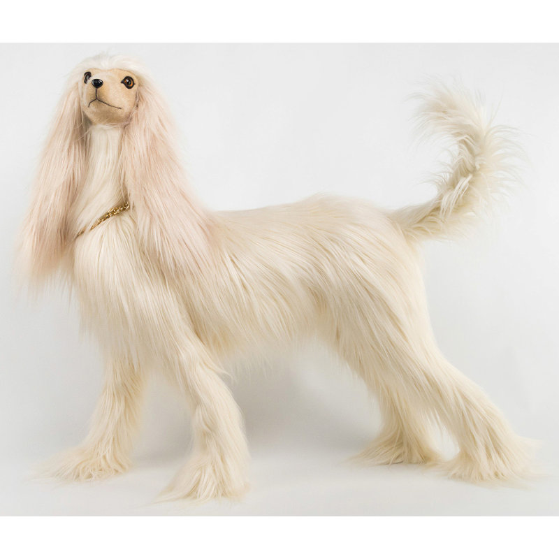 Elegant Posing Whippet - 28 pouces