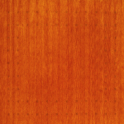 Hepsiba Performance Indoor Rug