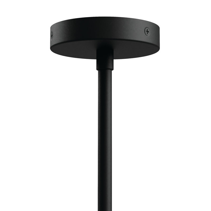 Tandem 4-Head Pendant Light, Black