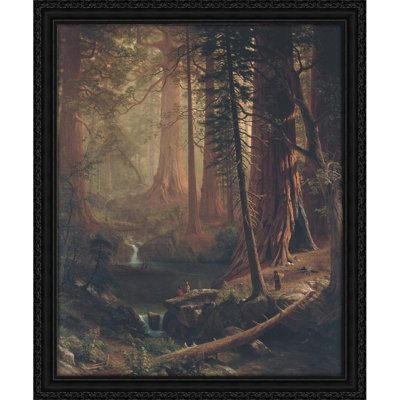 Giant Redwood Trees of California (1874)