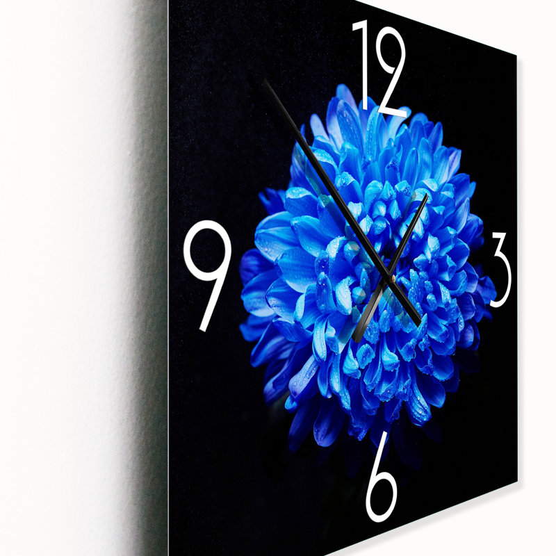Aster bleu avec gouttes de rosée - Horloge murale traditionnelle, Petit