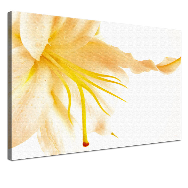 Print on Canvas, 100cm H x 150cm W x 4cm D