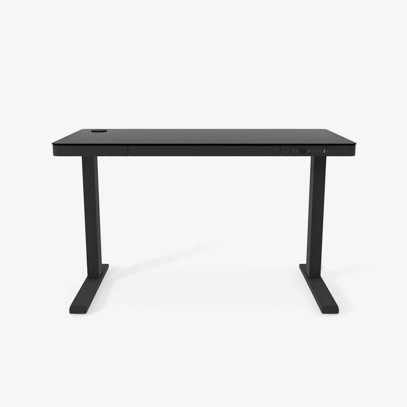 Willsbridge 120Cm W Height Adjustable Rectangular Computer Desk, Black