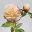Peony Faux Floral-1036916917-1036916919