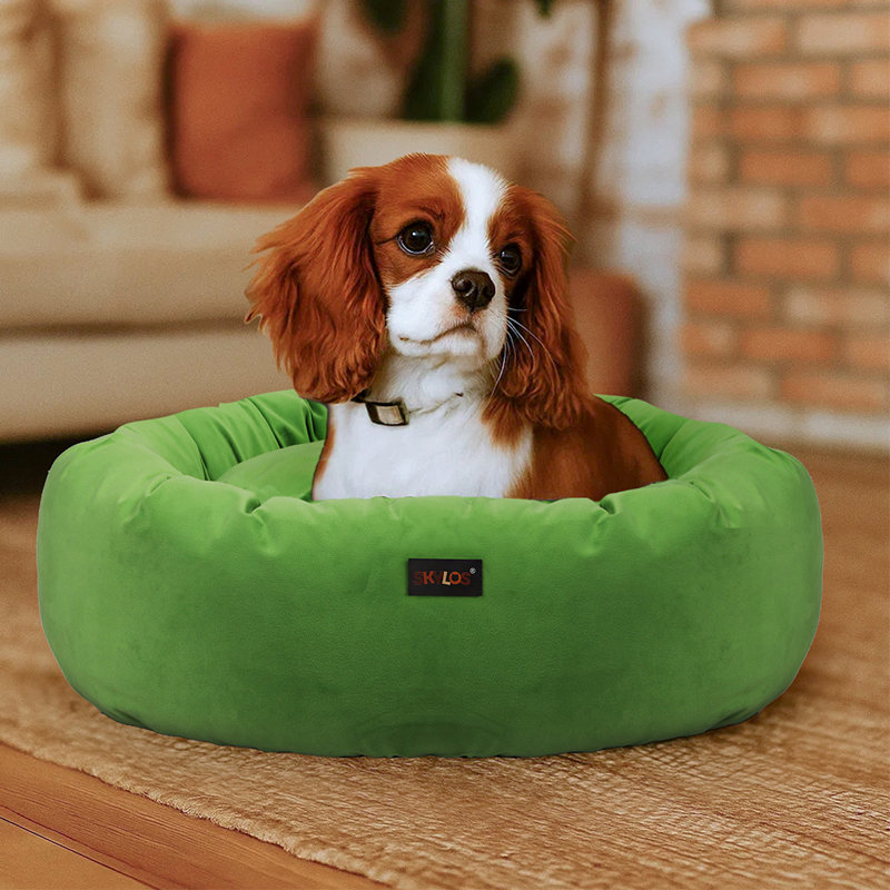 Cotton Pet Bed, 24cm H x 75cm W x 75cm D