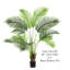 ARBRE DE PAUME 48 "PARADISE
