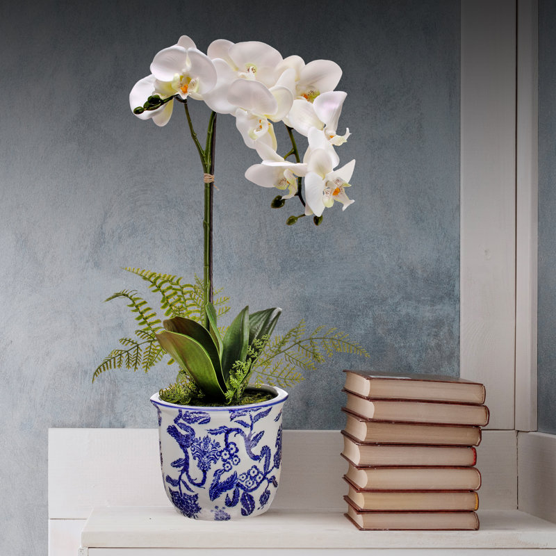 Arrangement floral orchidée en pot
