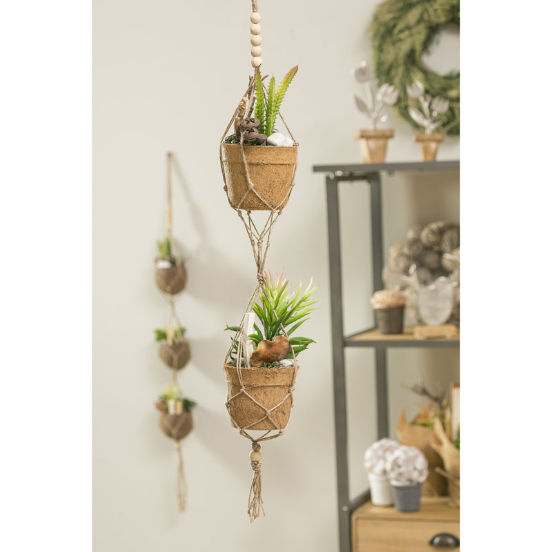 Ensemble de 2 succulent artificielles en pot