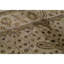 Oriental Area Rug in Beige