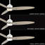 Kingsteignt 60'' Ceiling Fan with LED Lights-2049657129