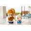 Pet Dog Bowl-63423616-63909065