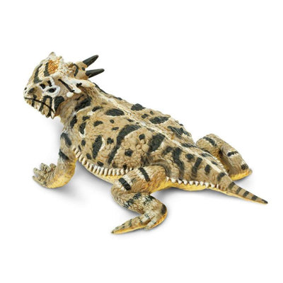 Lézard à cornes