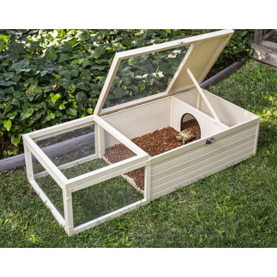 Tortoise House And Pen Combo