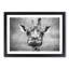 Wonderful Giraffe - Framed Print-56739751-56739753