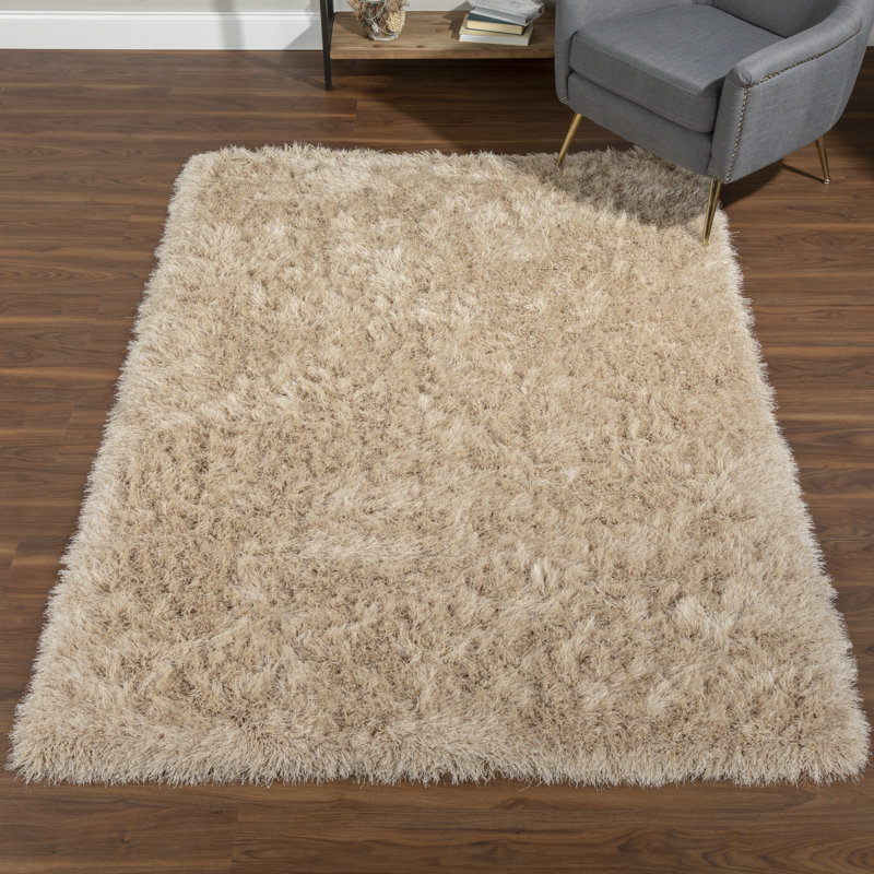 Tapis beige touffeté à la main Petrey, Rectangle 5 pi x 7 pi 6 po