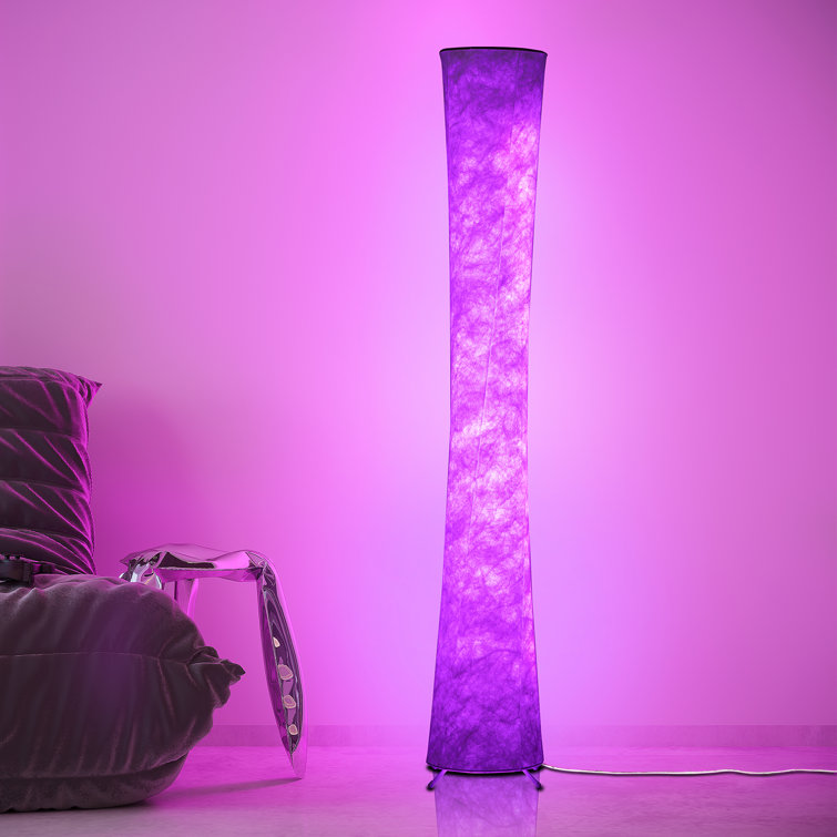 Jaenis 61" LED Novelty Floor Lamp with Remote and APP Control