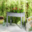 Planter-2113196922
