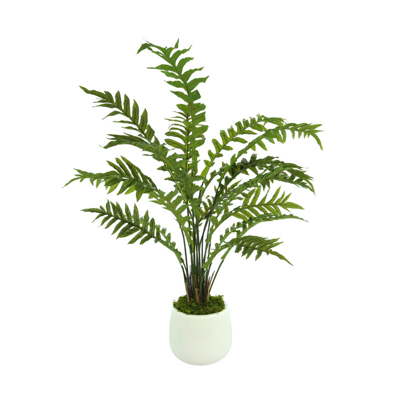 Ridgewood Faux Fern Plant in Fiberstone Planter