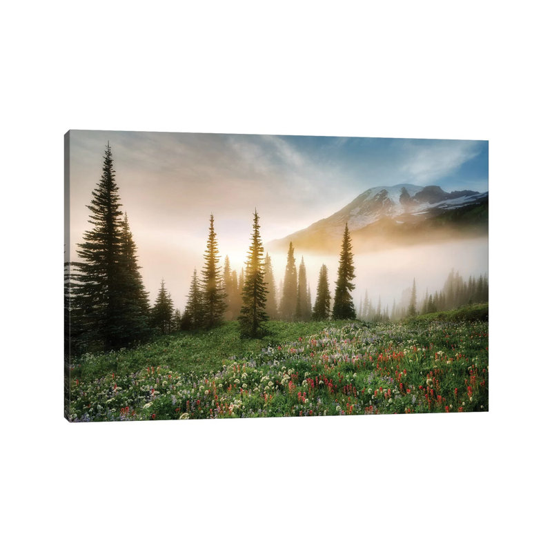 Rainier Wildflowerws by Dennis Frates - Print on Canvas, Wrapped Canvas, 66.04cm H x 101.6cm W x 1.91cm D