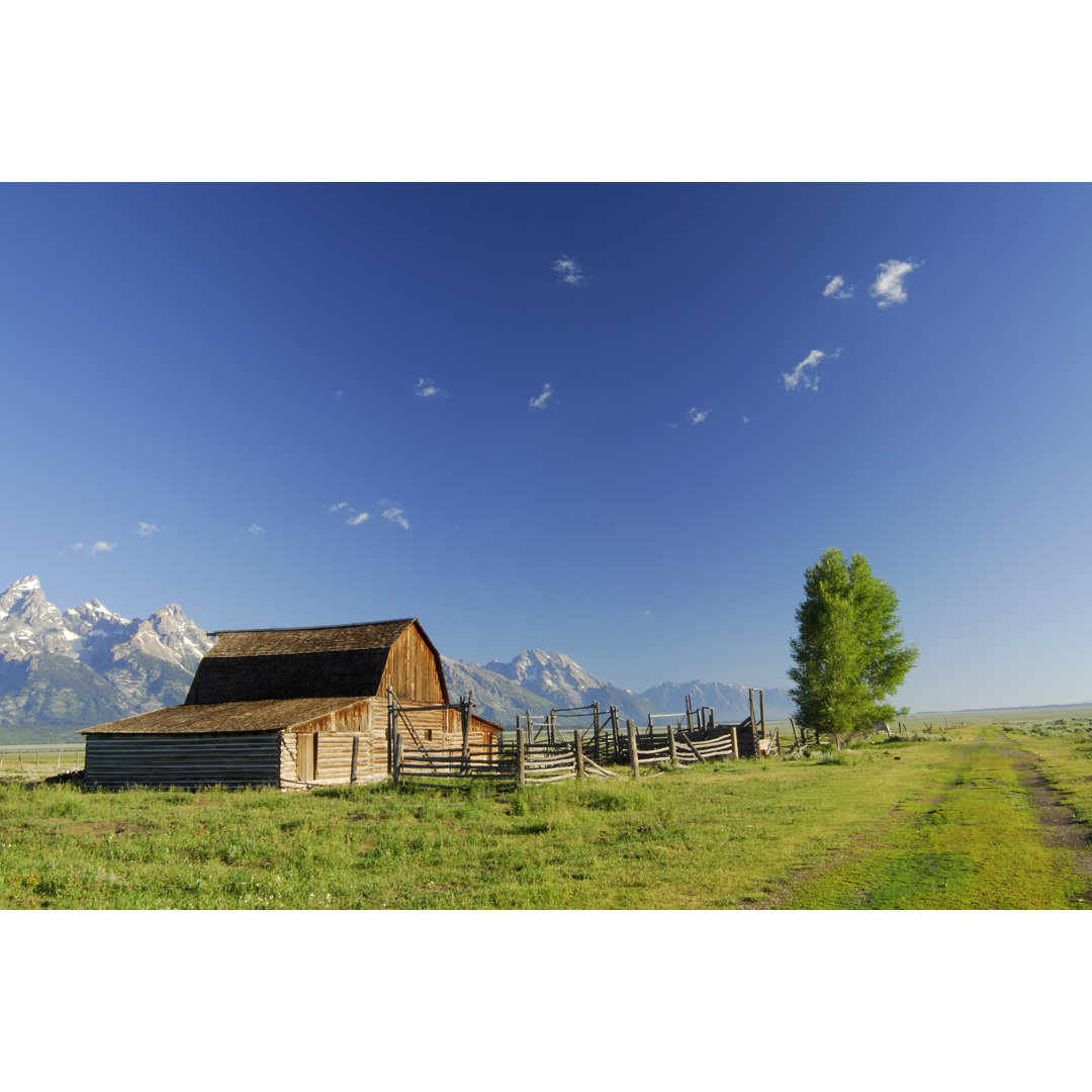 Alte Scheune am Grand Teton