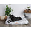 Coussin moelleux doux