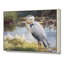 Birds-2090726212-2090726211
