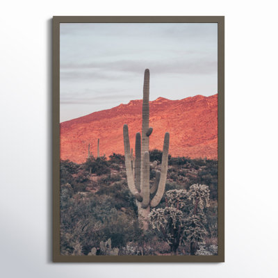 Sunsets and Saguaros Desert Photo Print