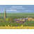 No Frame selected