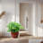 Ceramic Flowerpot-1963484869