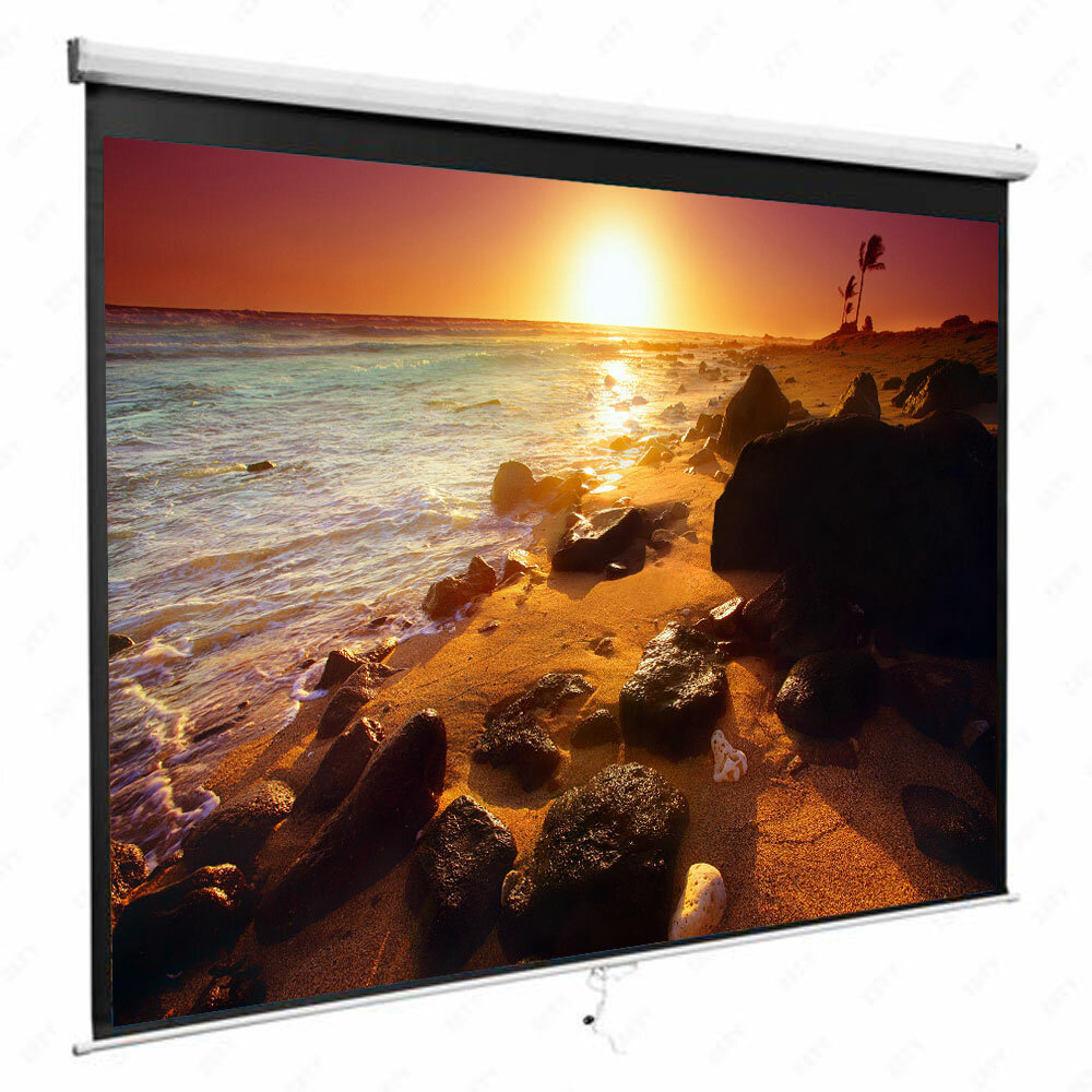 Winado Manual Projector Screen Projector Screen | Wayfair