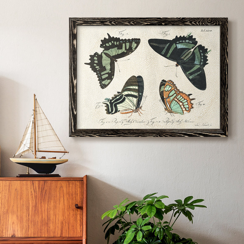 «Crackled Butterflies III», peinture sur toile encadrée, Noir, H 28 po x l 42 po x P 1,5 po