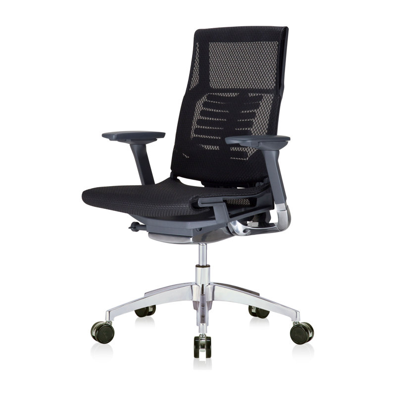 Eurotech Seating Mesh Executive Chair with Headrest, Gray, Black