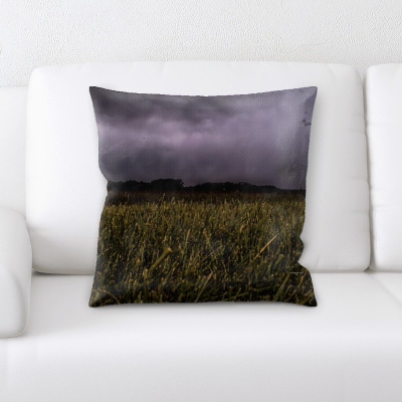 Weinberger Microsuede Throw Pillow