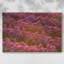 Field of Tulips I-Gallery, toile tendue-1257380875