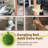 Denasia Cat Scratching Post-937880695