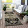 Machine Washable Indoor/Outdoor Chayden ACN1036 Rug