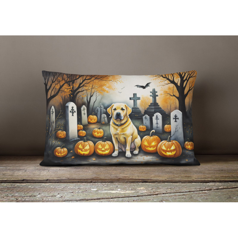 Other/No Pattern Outdoor Throw Pillow