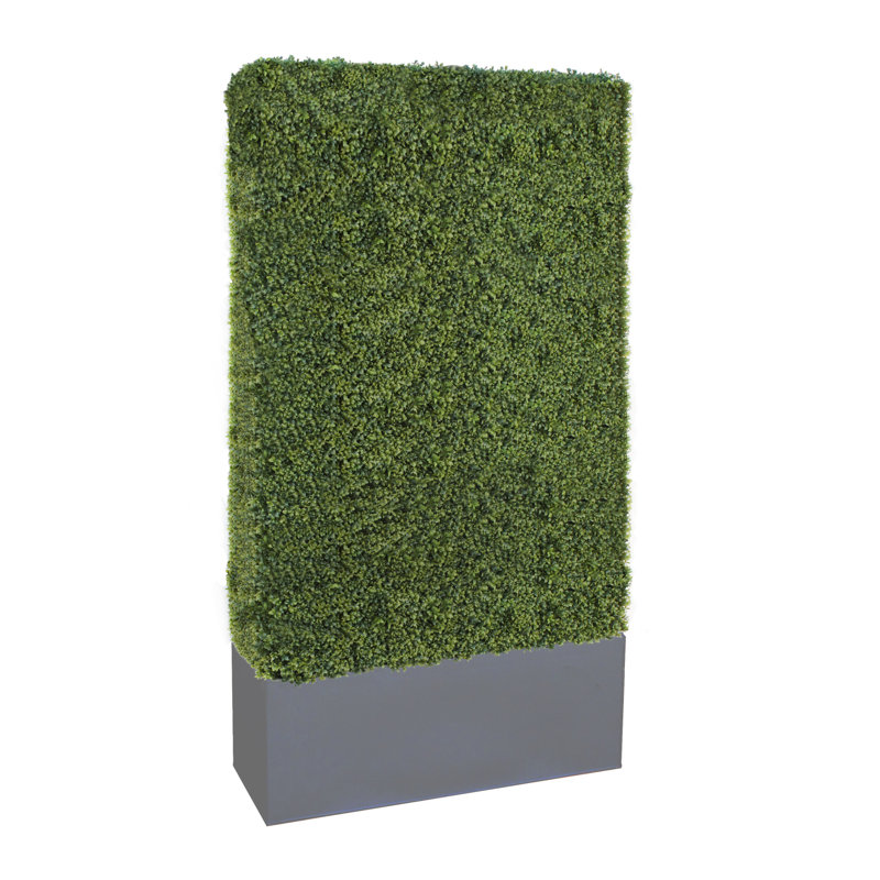 Faux Boxwood Hedge in Ceramic Planter, 90" H x 40" W x 16" D, Gray