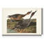 « Pl 322 », impression sur toile tendue-901799377