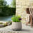 13 in. Medium Stone Gray(Upgraded Interior) Concrete Round Planter / Pot with Draiange Holes for Indoor & Outdoor-736770483-737979623