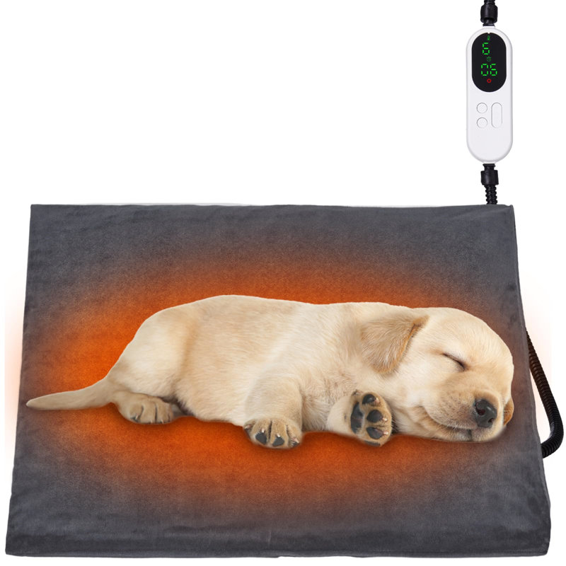 Linzy Pet Bed Cushion, 5cm L x 45cm W