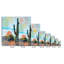 Watercolor Cactus 526 - Impression sur toile tendue-1765563750