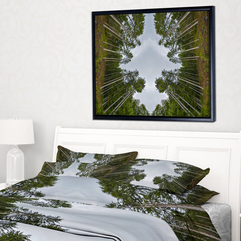 «Circle Composition of Coniferous Trees», reproduction de photo sur toile tendue encadrée, H 28 po x l 60 po x P 1,5 po